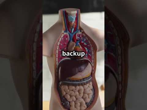 10 Weird Facts About the Human Body That Will Surprise You! 🧬 | Fascinating Anatomy with Avery Bliss