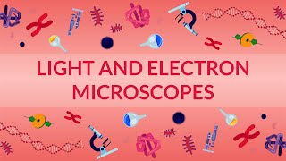 WHAT ARE LIGHT AND ELECTRON MICROSCOPES? - HOW DO THEY WORK?