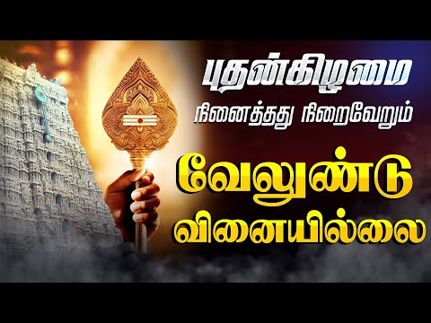 🔴LIVE SONGS | புதன்கிழமை கேட்க வேண்டிய வேலுண்டு வினையில்லை Murugan Song Tamil Murugan Songs