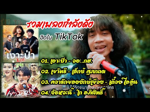 รวมเพลงกำลังฮิด,กำลังดัง2024-2025 (เงาะป่า,เขามัทรี,ความรักของยักษ์เขียว) ฟังเพลีนๆหู