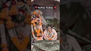#kartikmaah #viralvideo #dharmikvideo #sanatandharma #viral #vrindavan