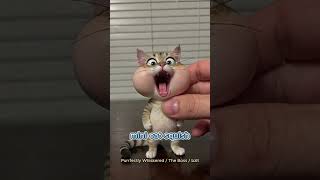 Mini cat squish. This Tiny Cat's Patience Just Ran Out
