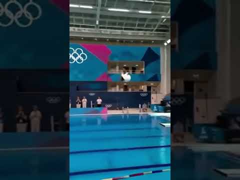 When a cat decided to compete in the Olympic diving event the result shocked everyone!#cat #olympics