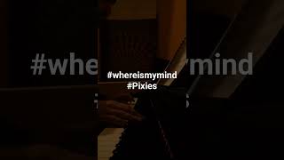 "🎹 Watch my talented friend make the keys come alive! #PianoMagic #MusicalMaestro 🎶"