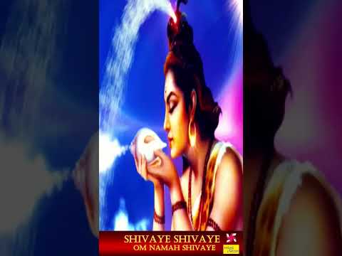Shivay Shivay Om Namah Shivay #bhaktibhajanmantra #shortsfeed #shortsvideo