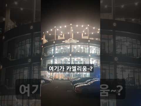 카엘리움 카페 후기~#브이로그 #카페 #후기
