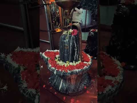 om namah shivay 🔱#viral #subscribe #youtubeshorts #mahakaleshwar #mahadev #bholenath #like #mahakal