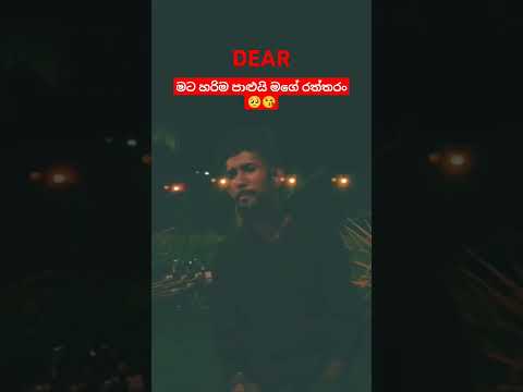 මට හරිම පාළුයි මගේ රත්තරං 🥺😘  Himi nowuna nethu | Dear cover song #shorts #viralshorts #sinhalason
