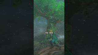 This random tree in TOTK might actually be important