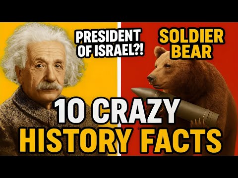 Factbuzz: 10 Amazing Historical Facts You Won’t Believe! 🤯 | Amazing Facts 