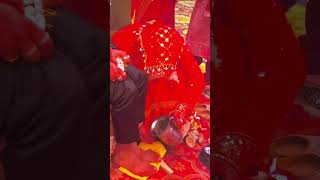 Himachali culture #himachalishadi #viralshort #himachalishadi #wedding #paharishadi