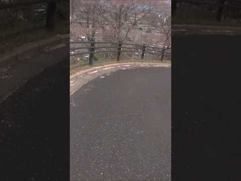 坂道を散歩するぼっちさん #散歩 #ぼっち #shorts