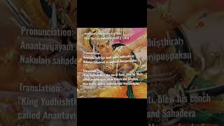 BhagwatGita Day 16 #BhagavadGita #GitaWisdom #SanatanDharma #Hinduism #SpiritualJourney  #GitaQuotes
