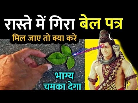 रास्ते में गिरी बेलपत्र मिल जाए तो क्या करें भाग्य चमक देगी करोड़पति बन जाएंगे ।। हर हर महादेव 🙏🏻