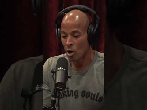 David Goggins PERFECTLTY sums up WOKE culture! 👌🙃 #shorts #joerogan #jre #davidgoggins