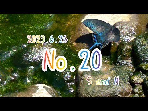 見える魚は釣れない！？！？！？