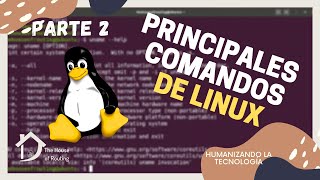 2 - ¿Cómo agregar y eliminar archivos en Linux? | Parte 2