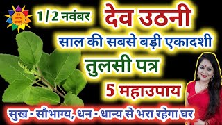 Dev Uthani Ekadashi Ke Upay 2025 | देवोत्थान एकादशी के उपाय #devuthiekadashikeupay