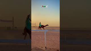 Camel 🐪 Race Videos #camel #camel_racing #camels