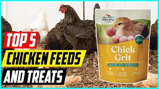 5 Best Chicken Feeds and Treats