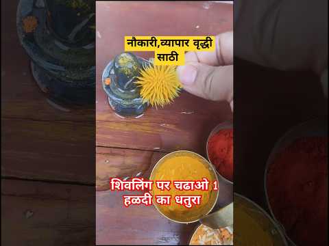 फुलेरा दूज का उपाय | haldi dhatura upay #panditpradeepmishrasirowale #phuleradooj #naukari #trending