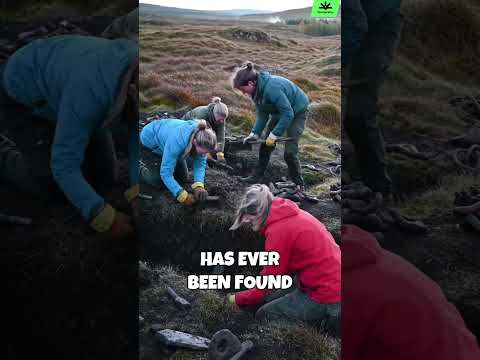 The Biggest Lie You Believe About Vikings