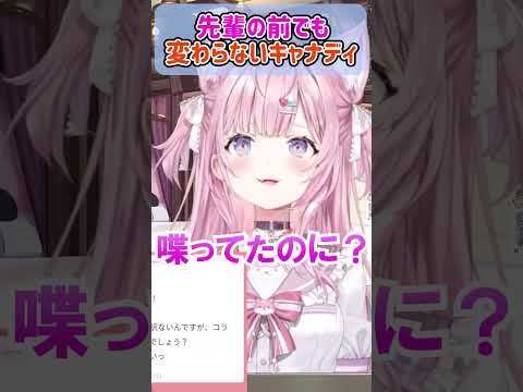 先輩相手でも変わらないキャナディｗ【ホロライブ切り抜き/博衣こより/音乃瀬奏】#shorts