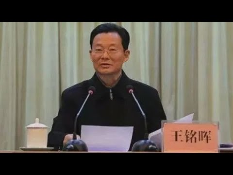 四川人大常委原党组副书记王铭晖被双开：与不法商人沆瀣一气