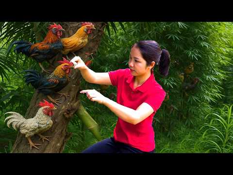 Harvesting A Lot Of Chicken Goes To Market Sell,Catch Crabs in Mud Pond | Tieu Ca - Free Bushcraft
