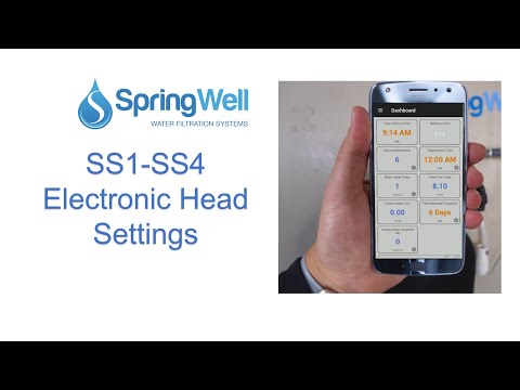 SS1 SS4 Electronic Head Settings v2