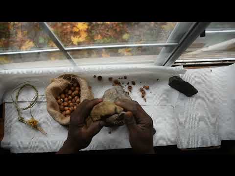 Kitchen gadgets from prehistory