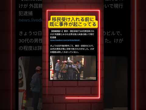 今の日本は外国人に襲われる。移民受け入れたらどうなるの！？