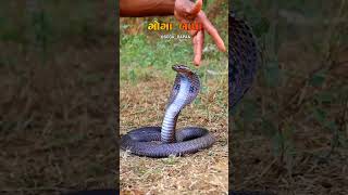2026 new goga maharaj 4k status #shorts #trending #viral #yutubeshorts #goga status 3d