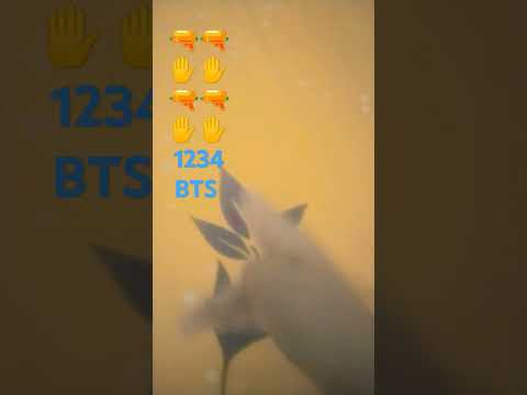 BTs fans