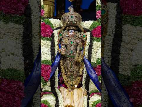 #tirumala #tirumalatirupati #balaji #balajibhajan #tirupatibalaji