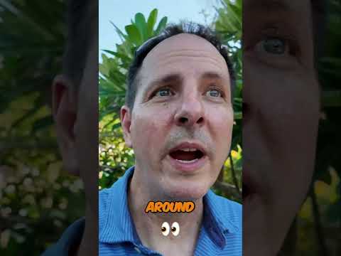 Tropical Paradise: Exploring Our Dream Resort