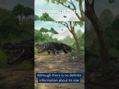 Deinosuchus