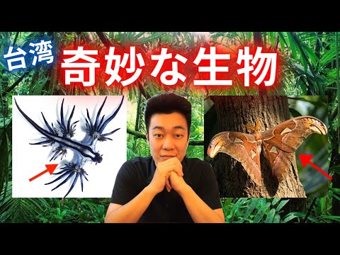 【衝撃】台湾に実在するあまりに奇妙な生物5選