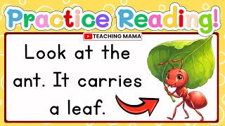LET'S READ! | SIMPLE READING LESSON FOR KIDS | PRACTICE READING ENGLISH SENTENCES  | TEACHING MAMA