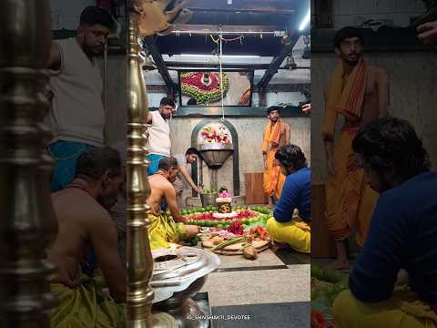 He has no beginning, no end,🔱#kapaleeshwarartemple#kapaleshwar#mahadevreel#jaimahakal#youtubeshorts
