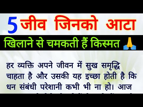 5 ऐसे जीव जिनको रोजाना आटा खिलाने से दूर होती हैं गरीबी, चमक जाती हैं सोई किस्मत |