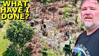 I Cut 40 Fruit Trees to Head Height — Did I Go Too Far?