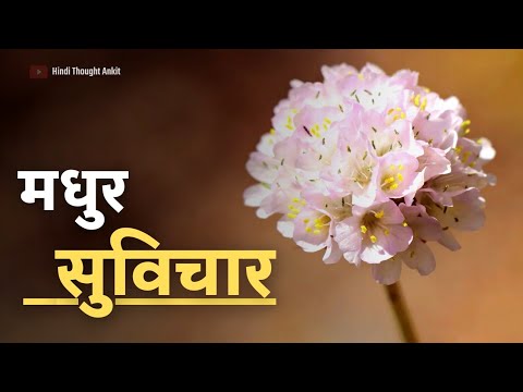 आज का मधुर सुविचार || Aaj ka Suvichar || Vachan | Quotes || Vichar || Hindi Thought