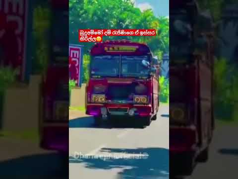කොහෙදැක්කත් නොවරදින ඒ pass එක❤️‍🩹#kasiya_bus_kingdom #trending #viral #dhamrejini #bus