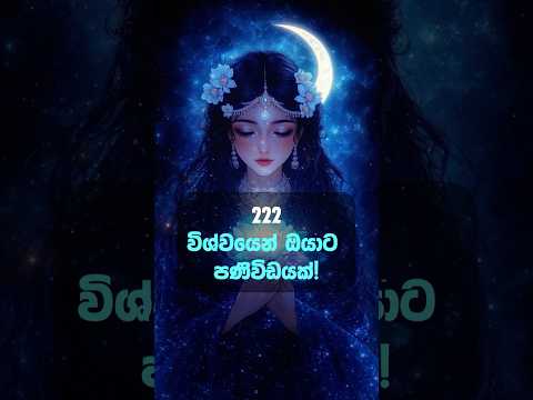 අද දවසේ විශ්වීය පණිවිඩය!🧿✨ #lagna #universemessage #lawofattraction