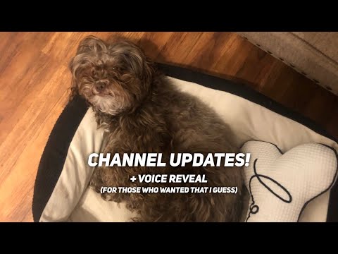 Some Channel Updates!