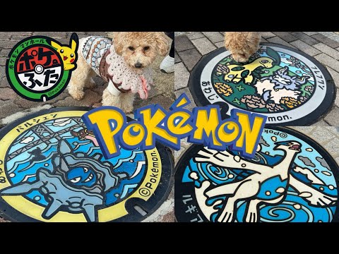 【Vlog】ポケモンを捕まえたい！兵庫県篇#ポケモン