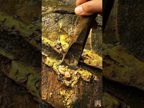 Gold Quartz Wait End🪙😮  #viral #golddiscovery #quartz #treasure #explore #lifestyle #gold #goldrush