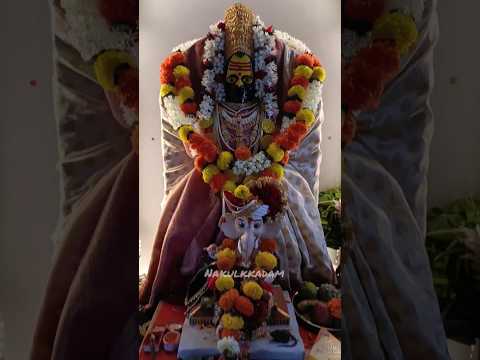 #tuljabhavani  Decoration #ganpatidecoration  #ecofriendly  #tuljabhavanimaking #decoration