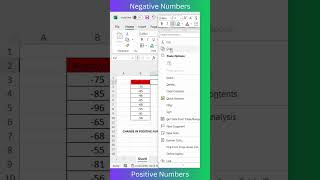 Negitive to Positive Numbers in Excel Tips
